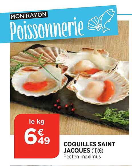 coquilles saint jacques