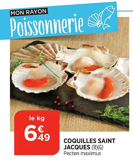 coquilles saint jacques