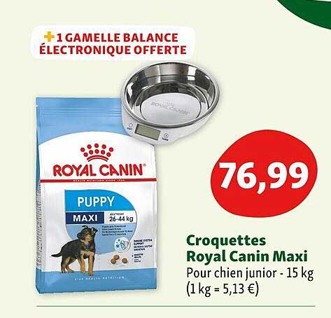 croquettes royal canin maxi