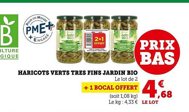 haricots verts très fins jardin bio