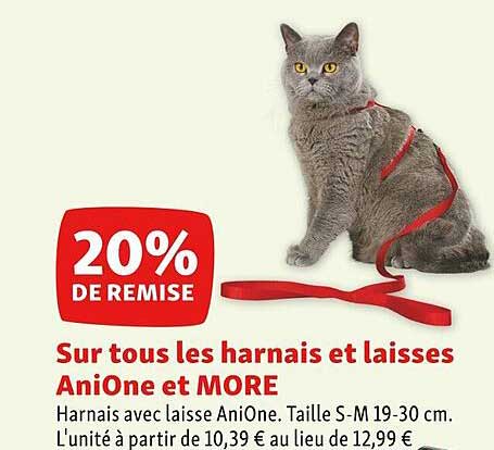 les harnais et laisses anione et more