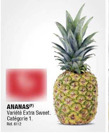 Ananas