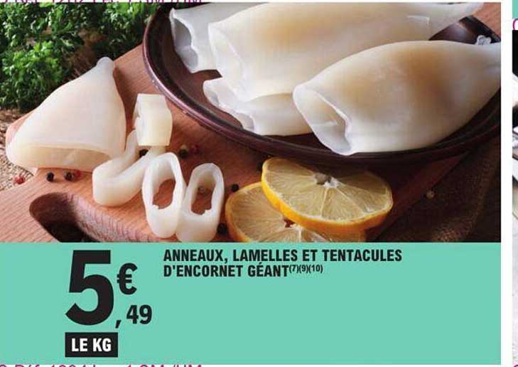 anneaux, lamelles et tentacules d'encornet géant