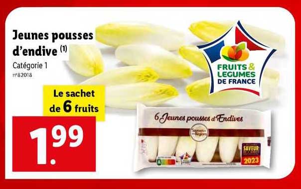 jeunes pousses d'endive