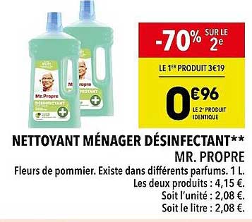 nettoyant ménager désinfectant mr. propre