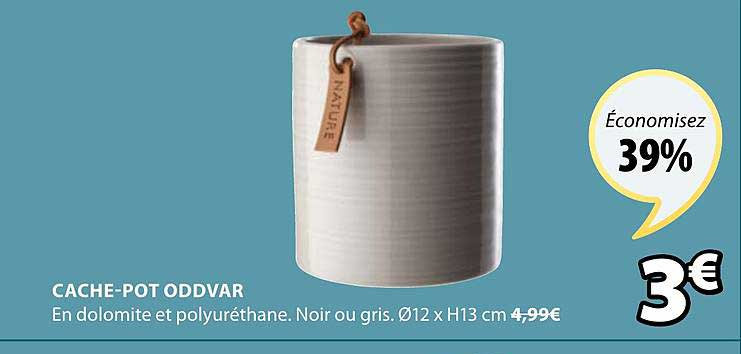 cache-pot oddvar