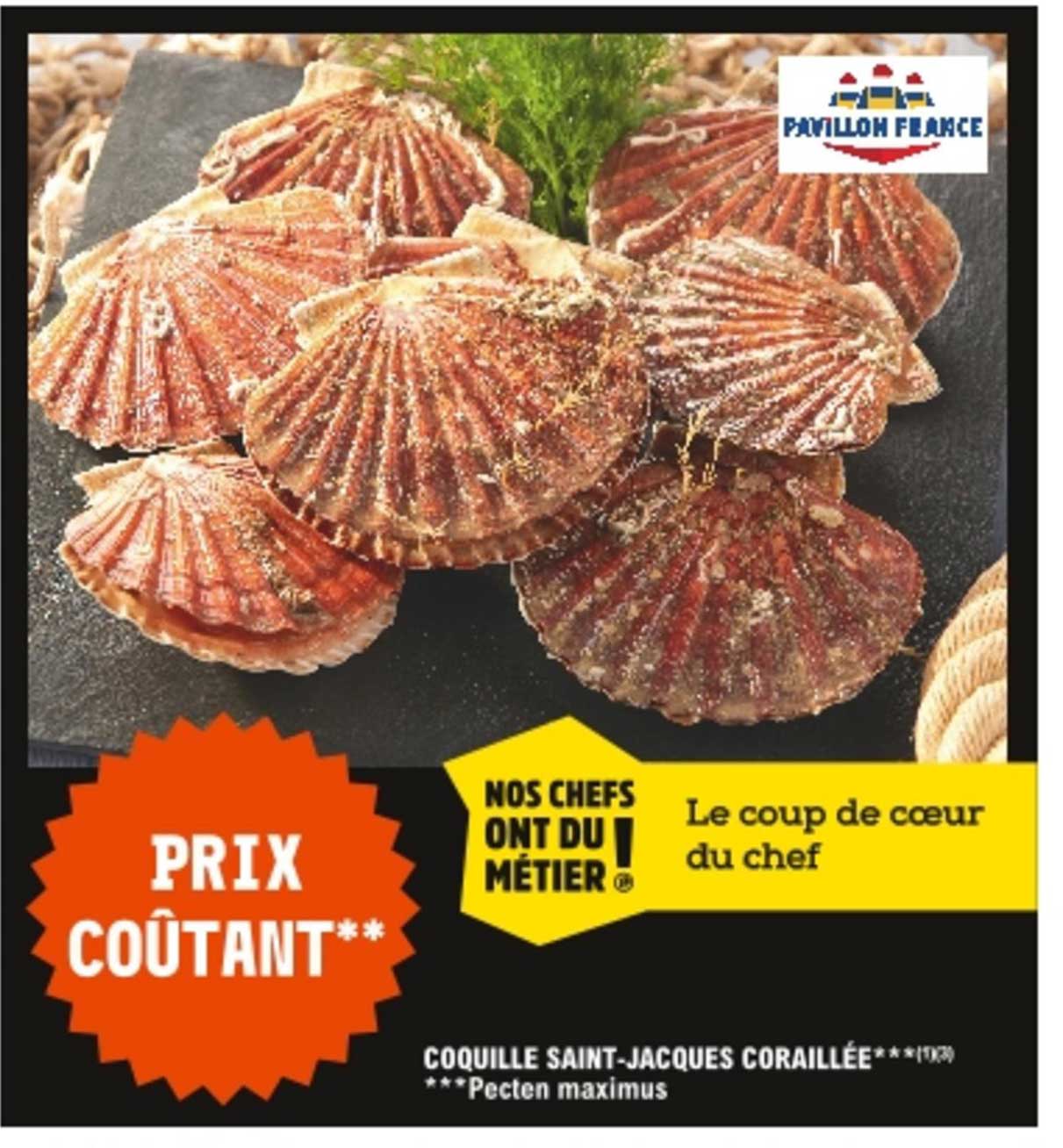 coquille saint-jacques coraillée