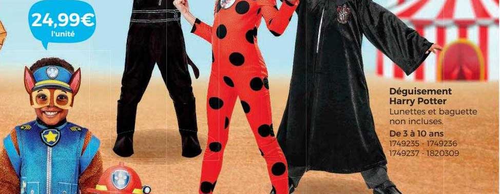 déguisement harry potter