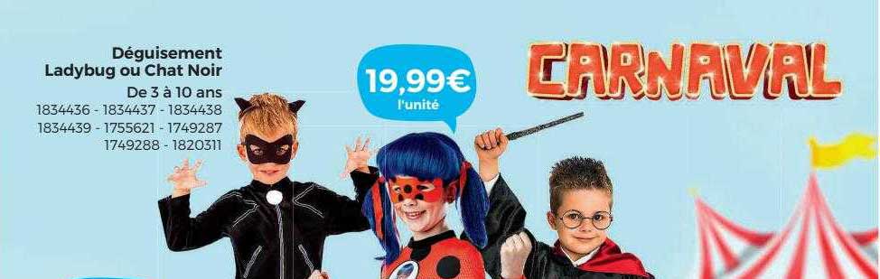 déguisement ladybug ou chat noir