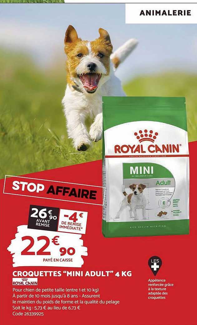 croquettes mini adult 4 kg royal canin