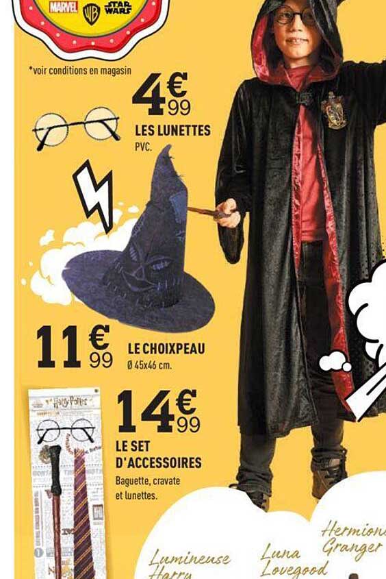 les lunettes, le choixpeau, le set d'accessoires