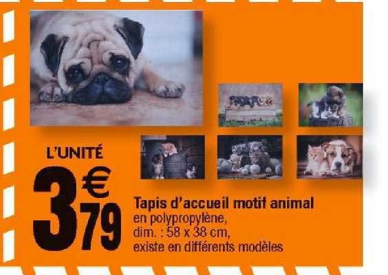 tapis d'accueil motif animal