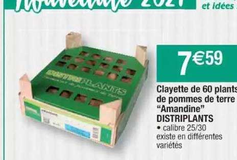 clayette de 60 plants de pommes de terre "amandine" distriplants