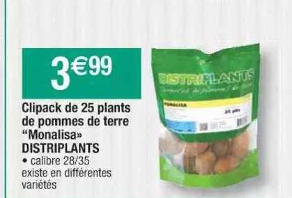 clipack de 25 plants de pommes de terre "monalisa" distriplants