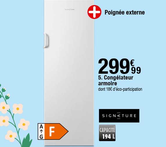 Congélateur Armoire Signature