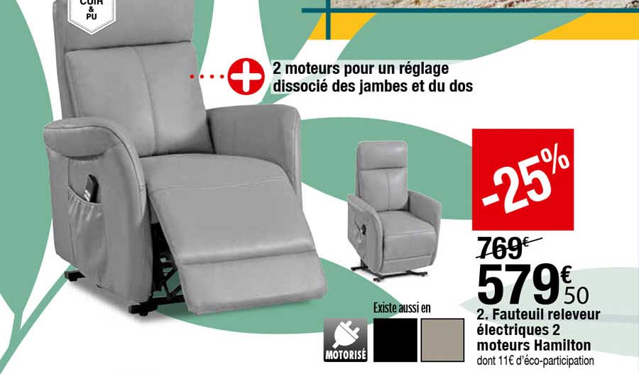 Fauteuil Releveur électriques 2 Moteurs Hamilton