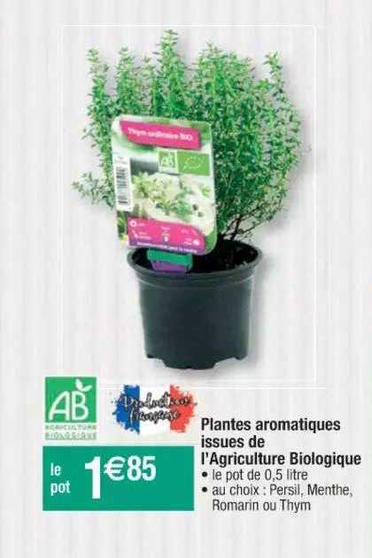 plantes aromatiques issues de l'agriculture biologique