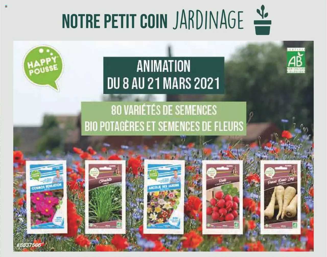 semences bio potagères et semences de fleurs