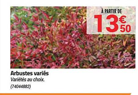 arbustes variés