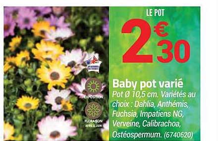 Baby Pot Varié