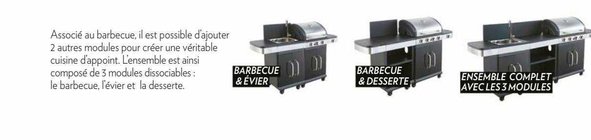 barbecue & évier, barbecue & desserte, ensemble complet avec les 3 modules