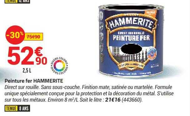 Peinture Fer Hammerite