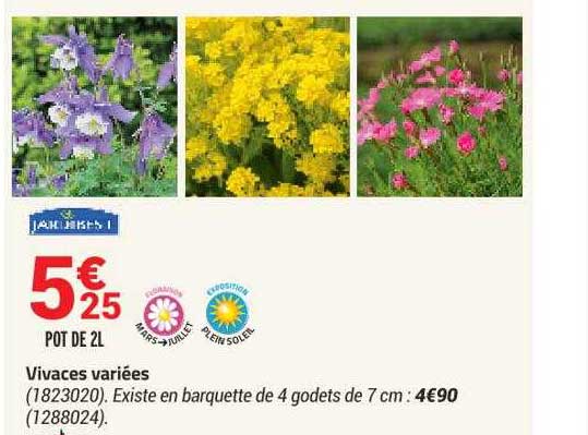 vivaces variées