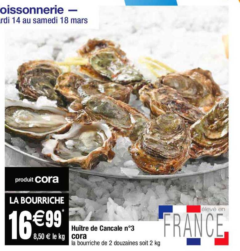 Huître De Cancale N°3 Cora