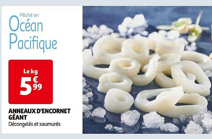 anneaux d'encornet géant