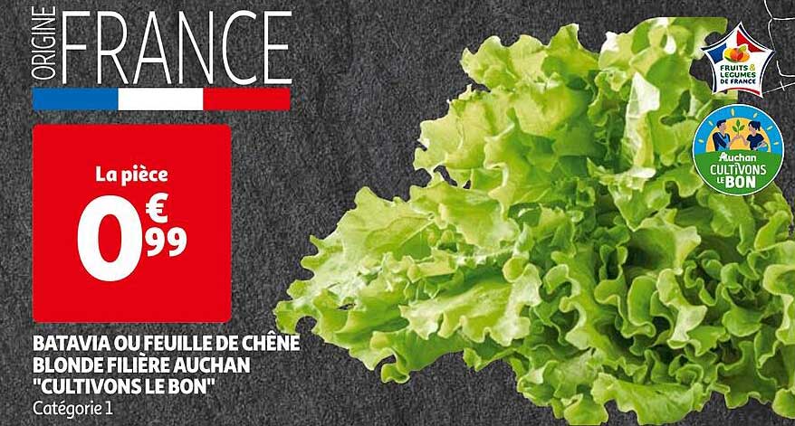 batavia ou feuille de chêne blonde filière auchan "cultivons le bon"