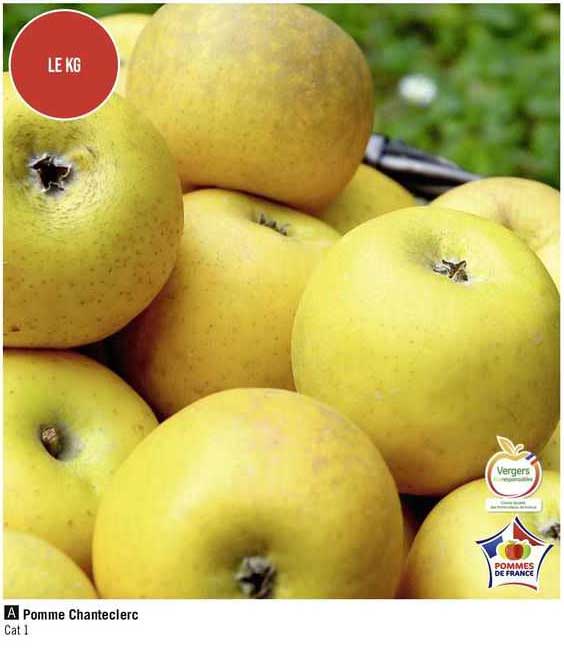 pomme chanteclerc