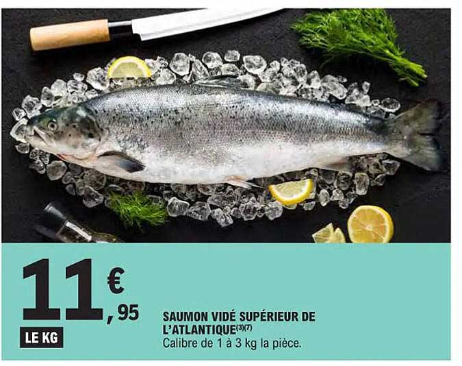 saumon vidé supérieur de l'atlantique