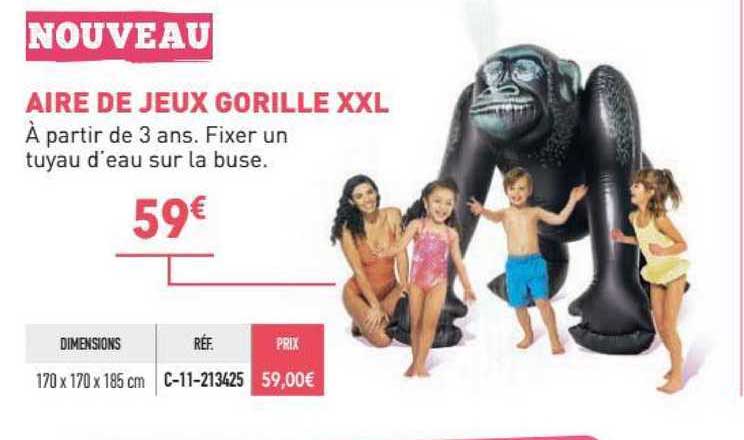 aire de jeux gorille xxl