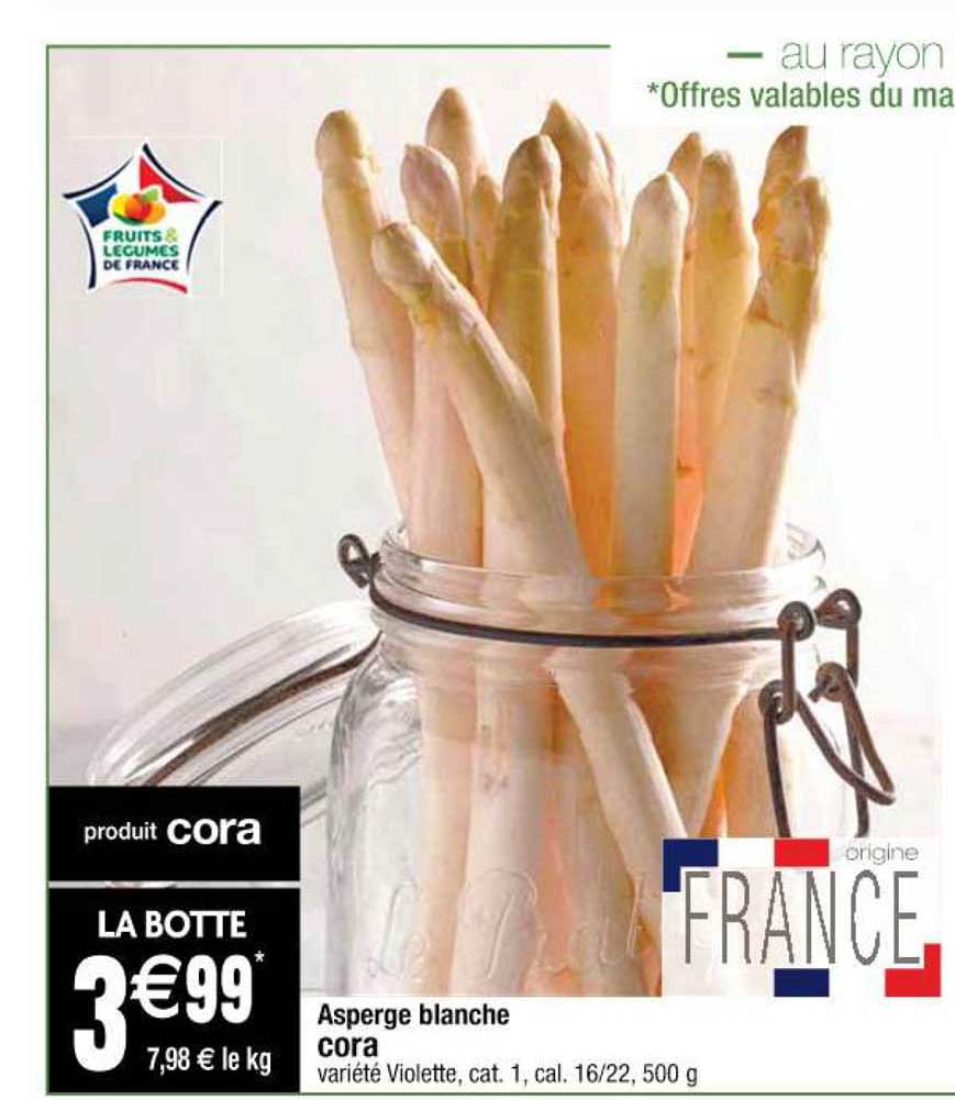 asperge blanche cora
