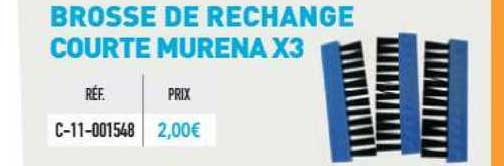 brosse de rechange courte murena x3
