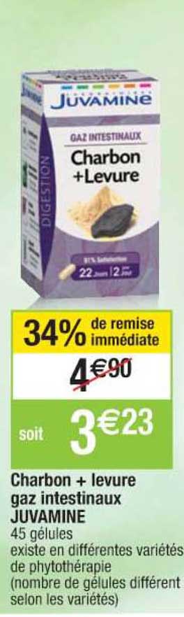 charbon + levure gaz intestinaux juvamine