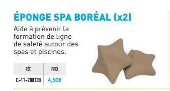 éponge spa boréal (x2)