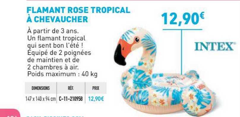 flamant rose tropical à chevaucher