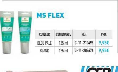 Ms Flex