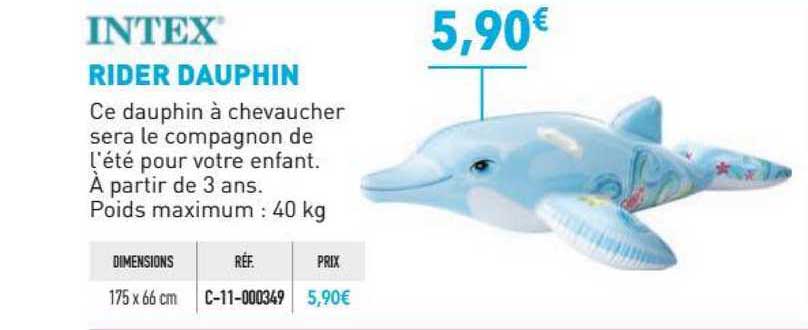 Rider Dauphin Intex