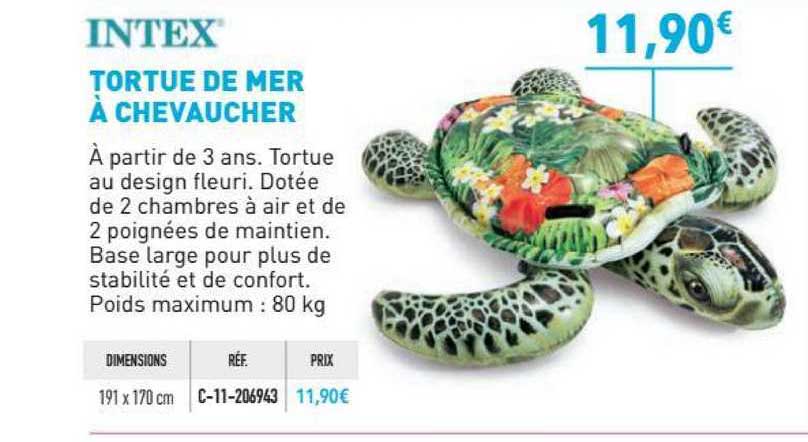tortue de mer à chevaucher