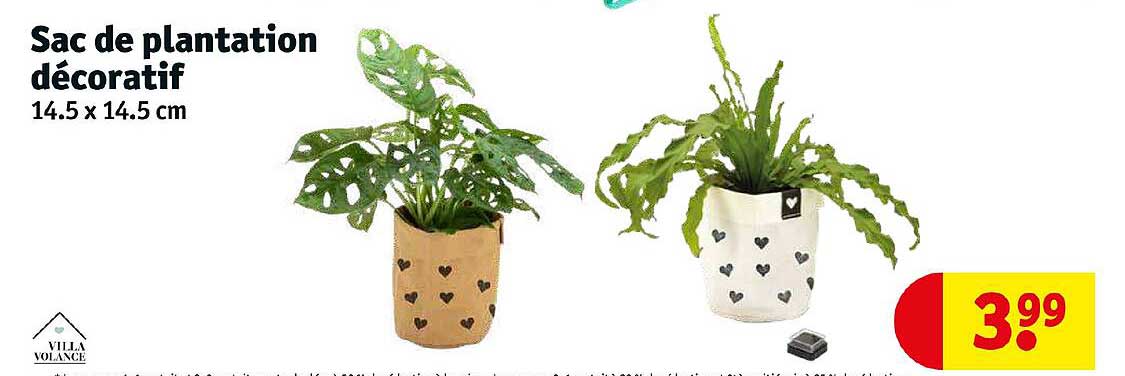 Sac De Plantation Décoratif