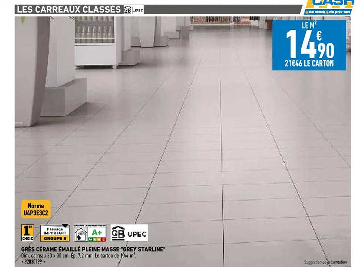 grès cérame émaillé plaine masse "grey starline"