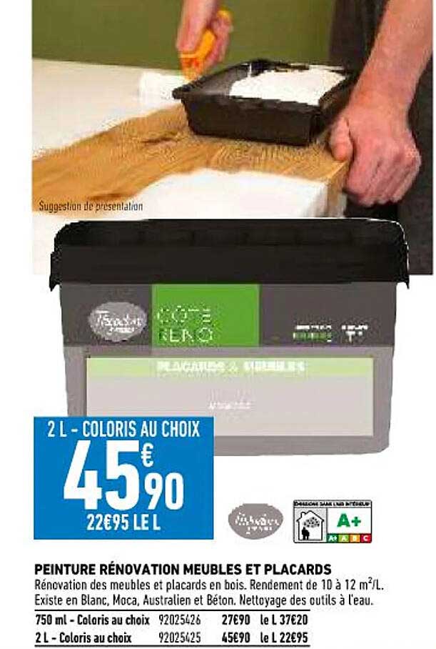 peinture rénovation meubles et placards théodore