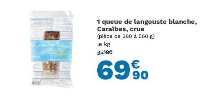 1 queue de langouste blanche, caraïbes, crue