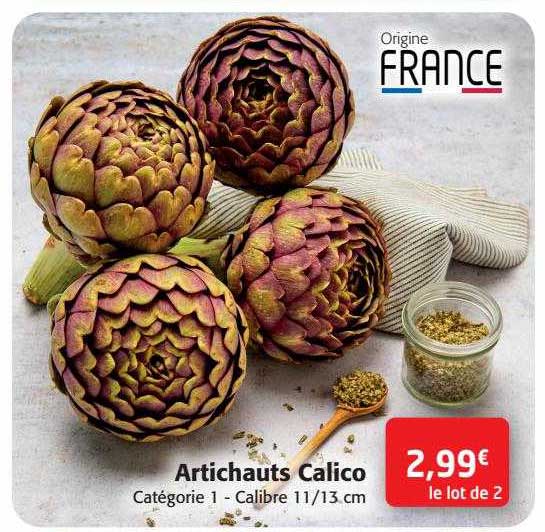 artichauts calico
