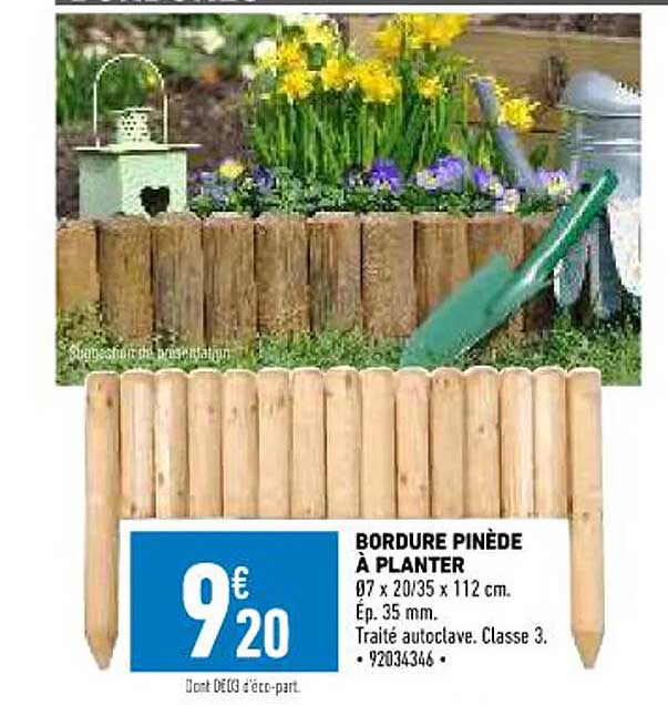 bordure pinède à planter