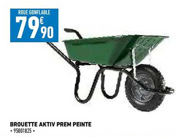 brouette aktiv prem peinte