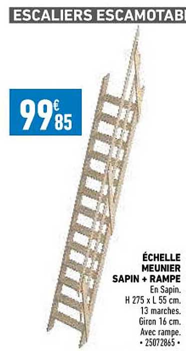 échelle meunier sapin + rampe