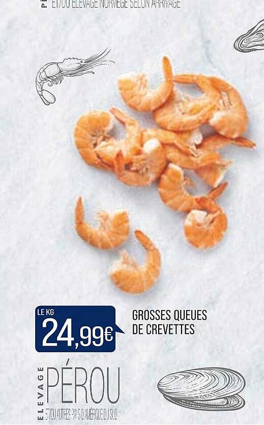 grosses queues de crevettes
